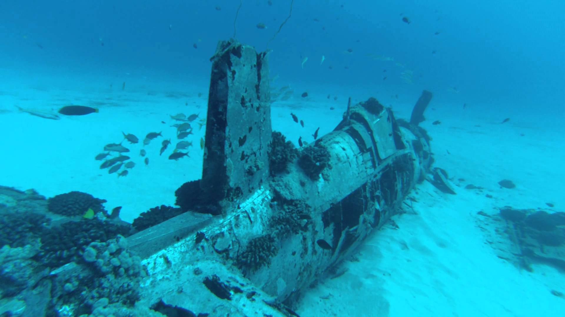 Scuba Dive Panama City Beach Reddit